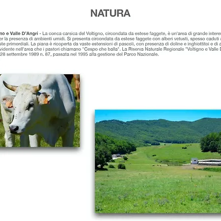 Clementina B&B-2